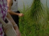 200